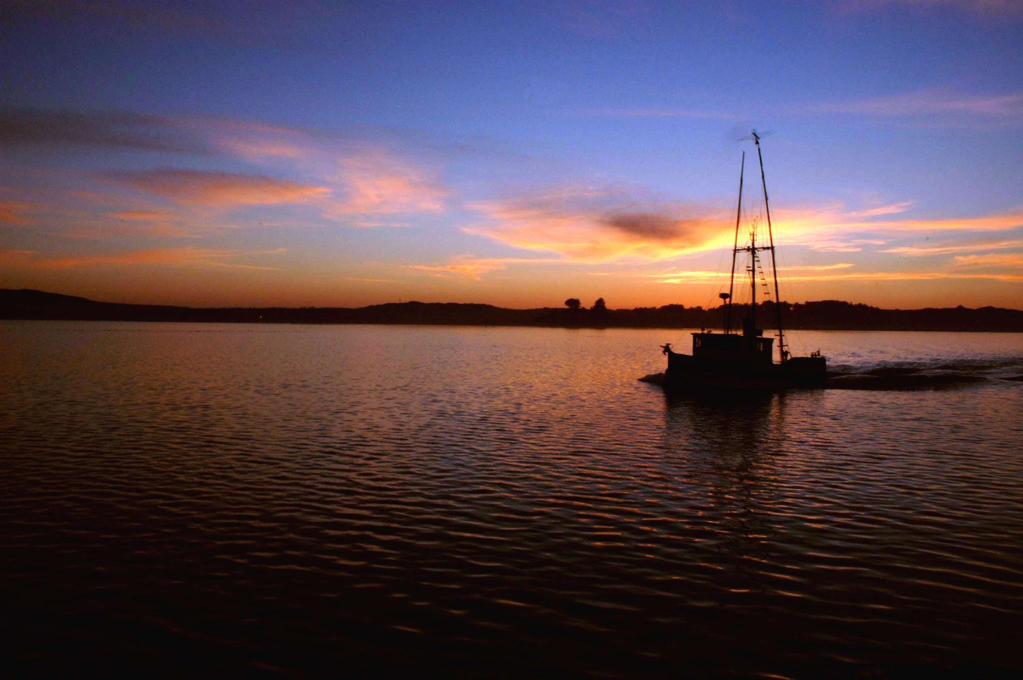 Khu vực xung quanh