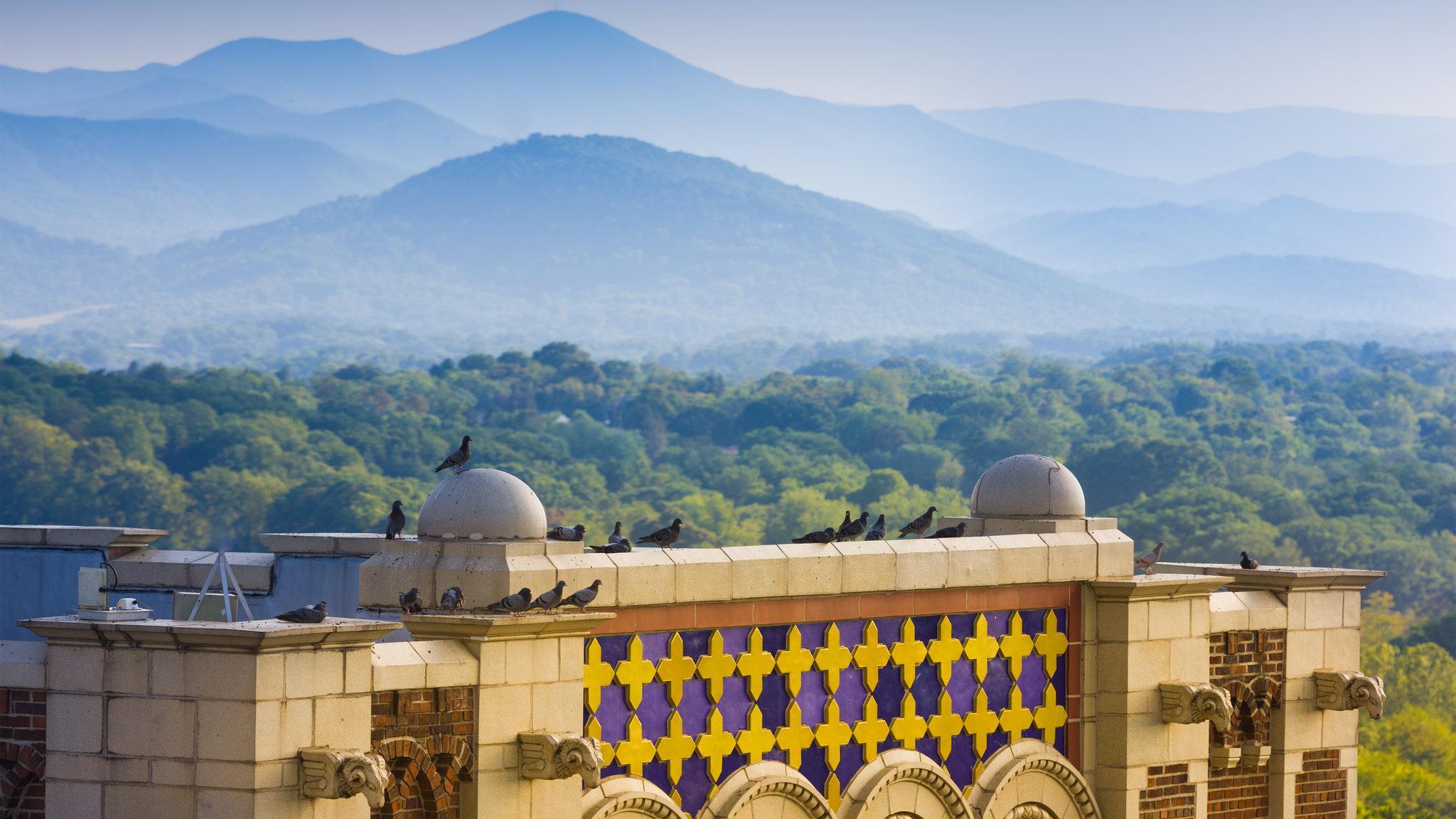 Khu vực xung quanh