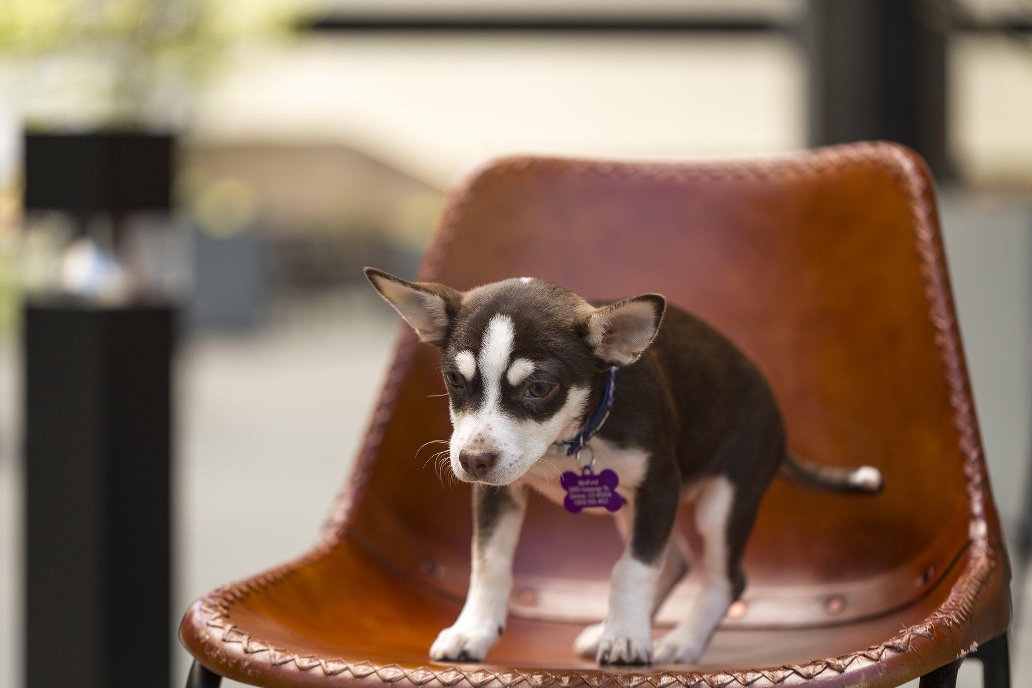 Nội thất khách sạn