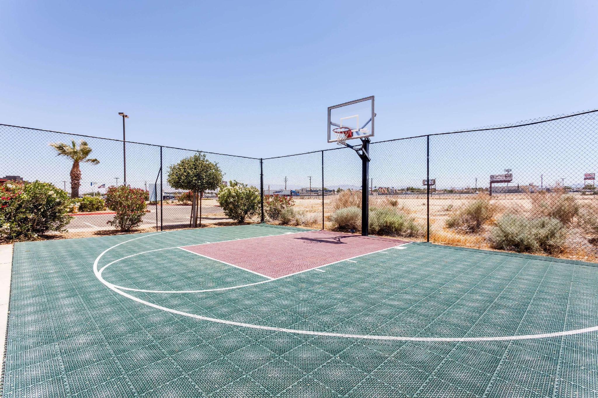 Thể thao và hoạt động