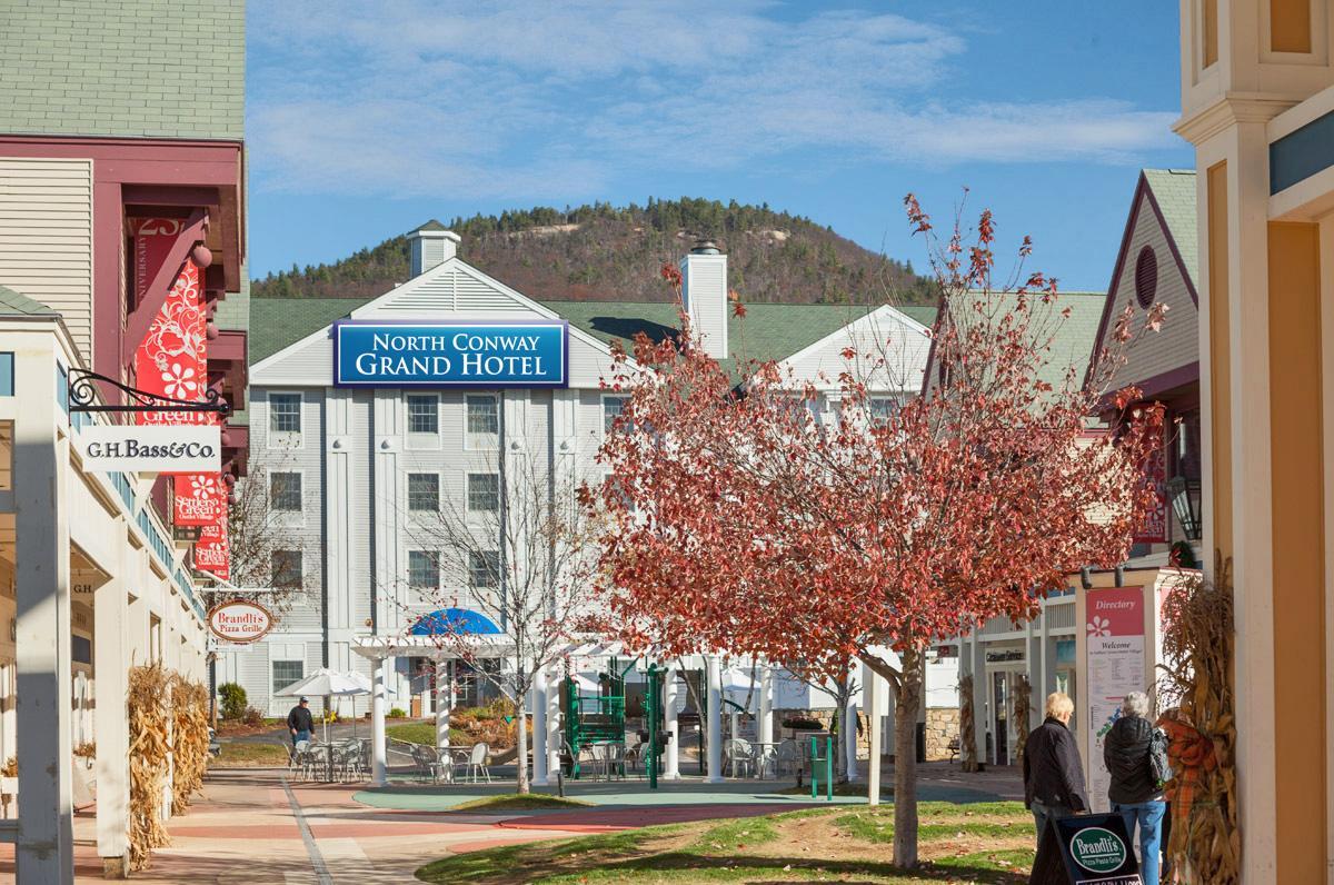 Khu vực xung quanh