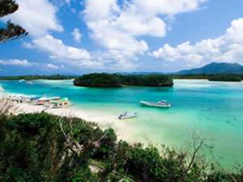 Nơi tham quan gần đây