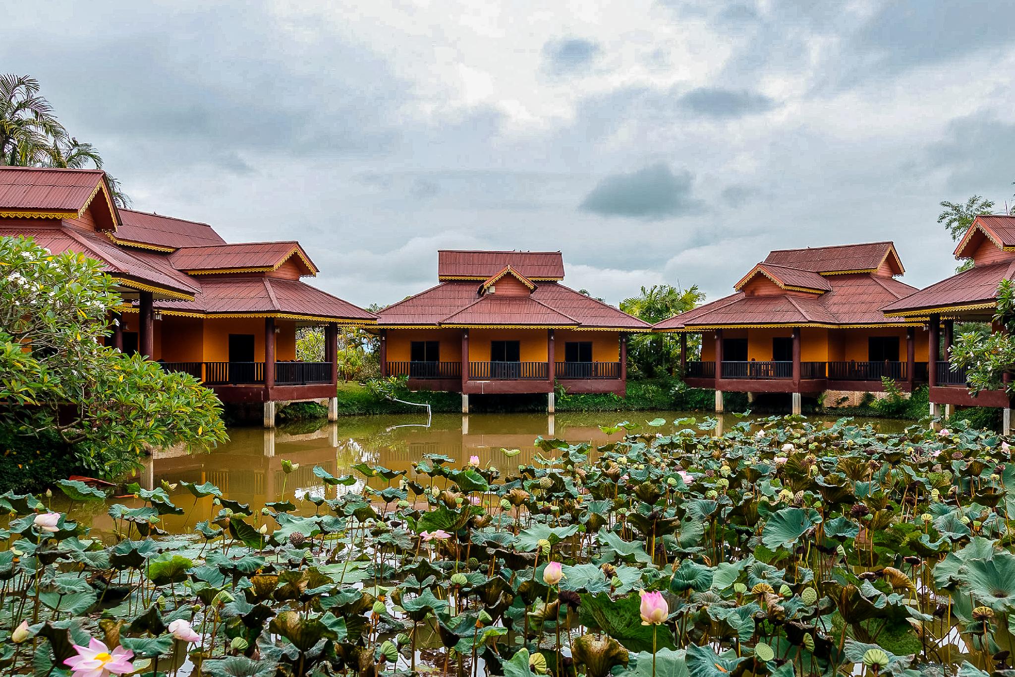 Khu vực xung quanh