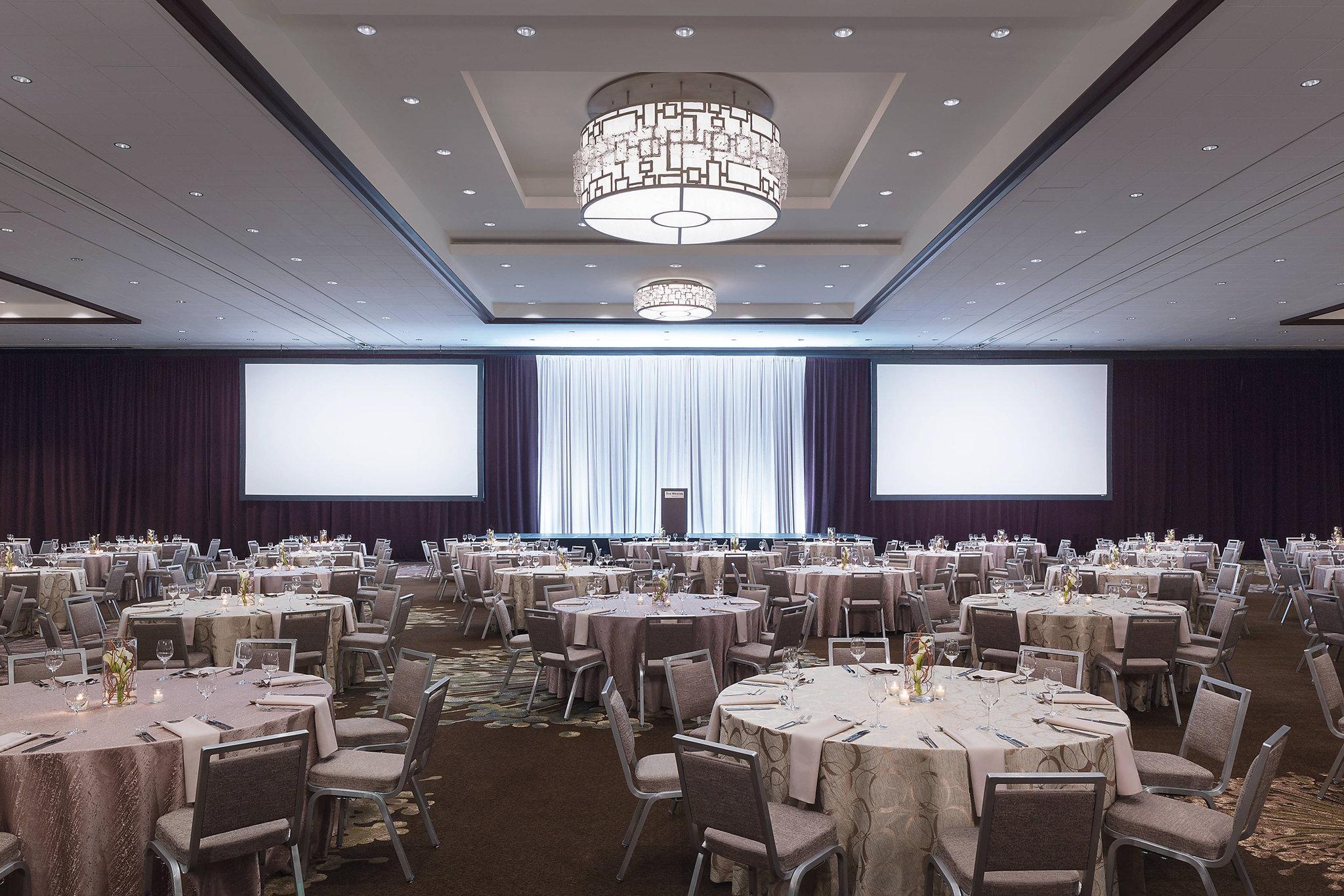 Phòng họp/ hội nghị