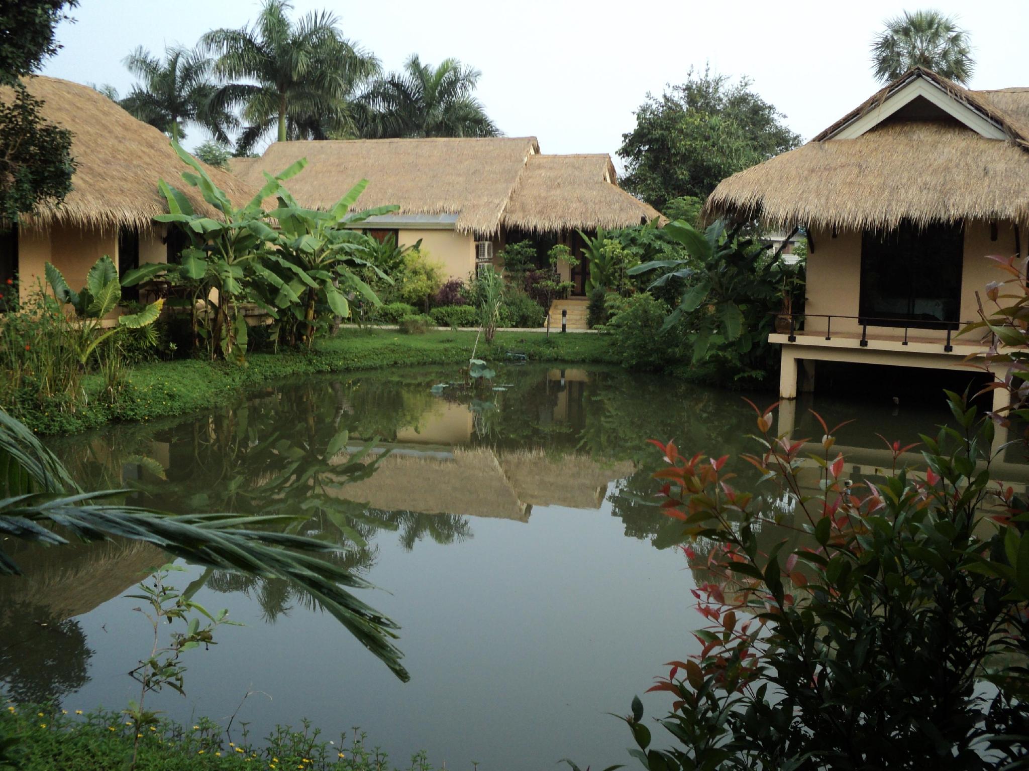 Khu vực xung quanh