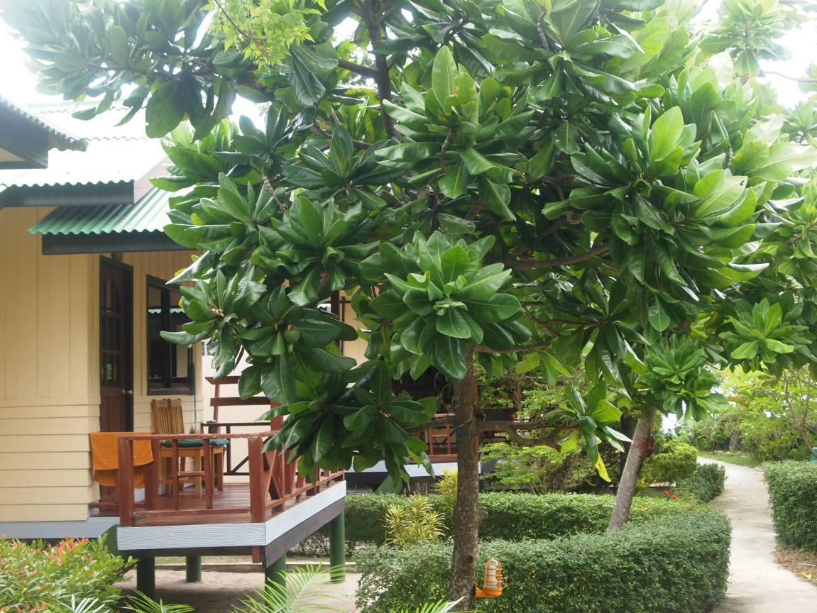Ngoại cảnh khách sạn