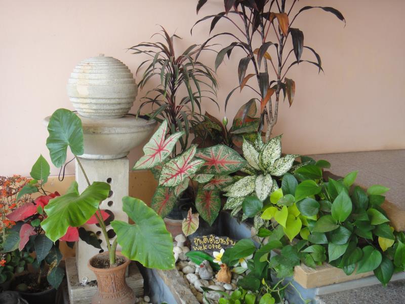 Ngoại cảnh khách sạn