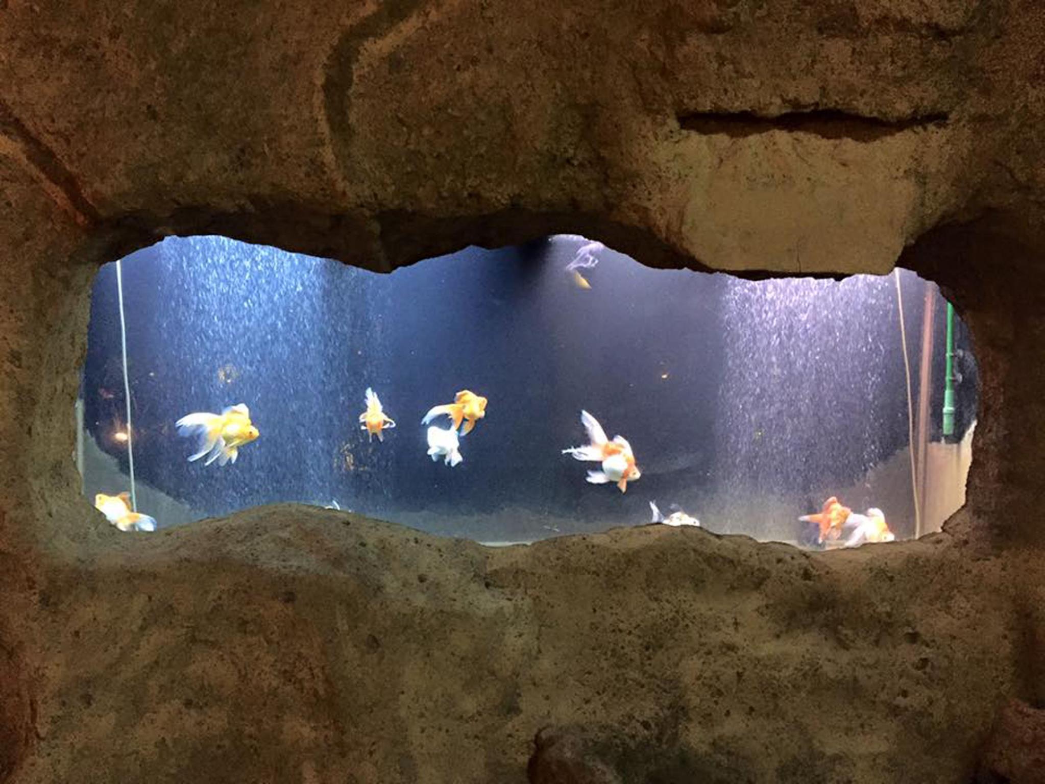 Nội thất khách sạn