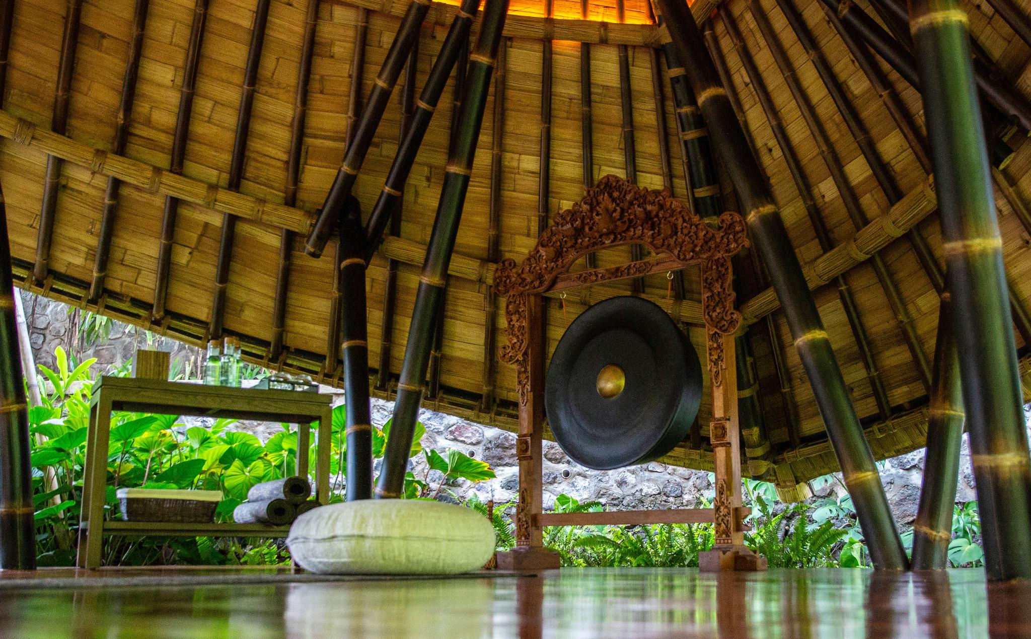 Thể thao và hoạt động