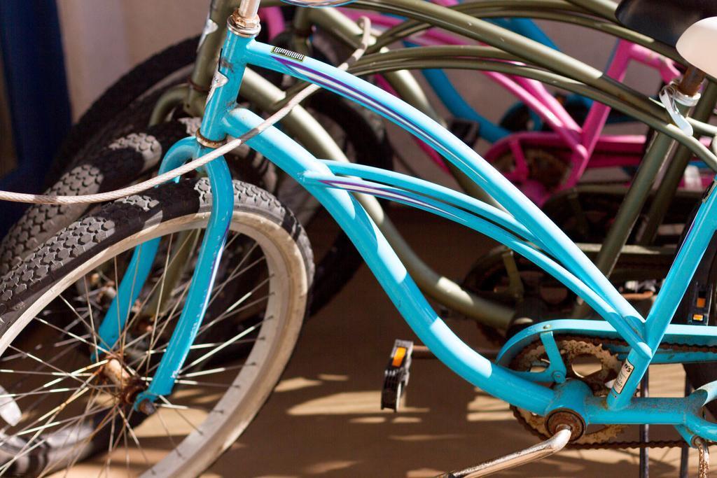 Thể thao và hoạt động