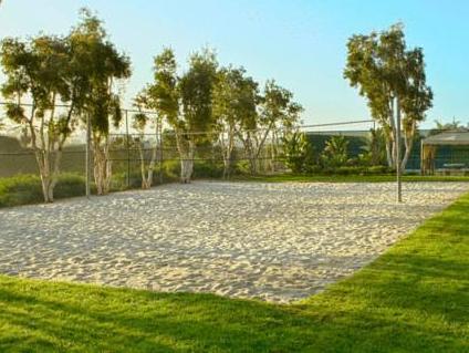 Khu vực xung quanh