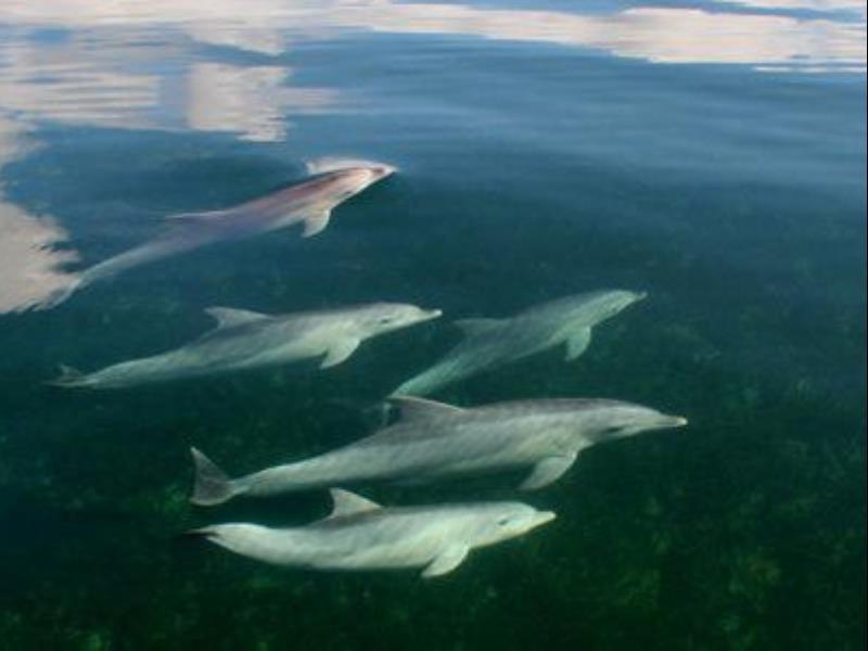 Khu vực xung quanh