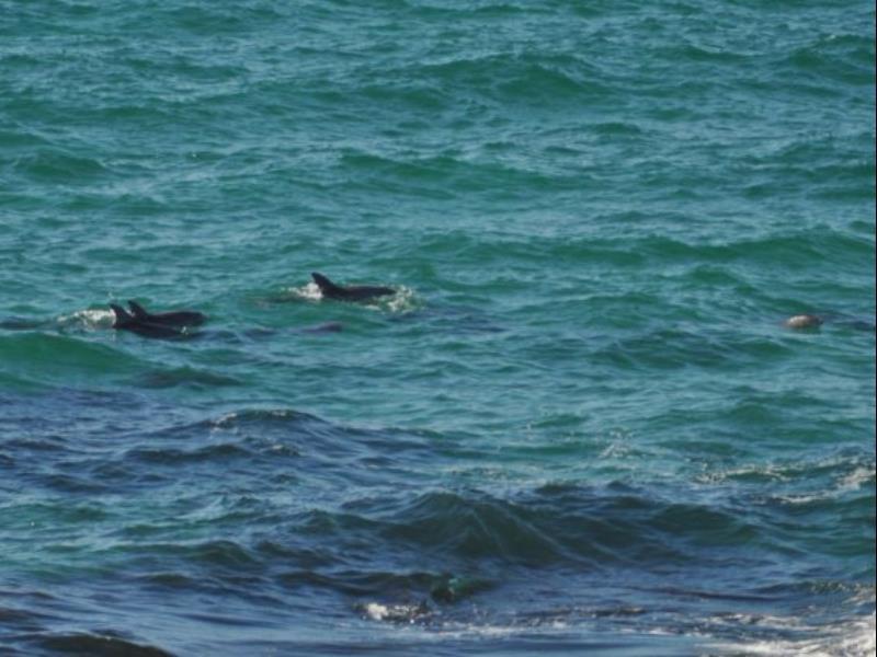 Khu vực xung quanh