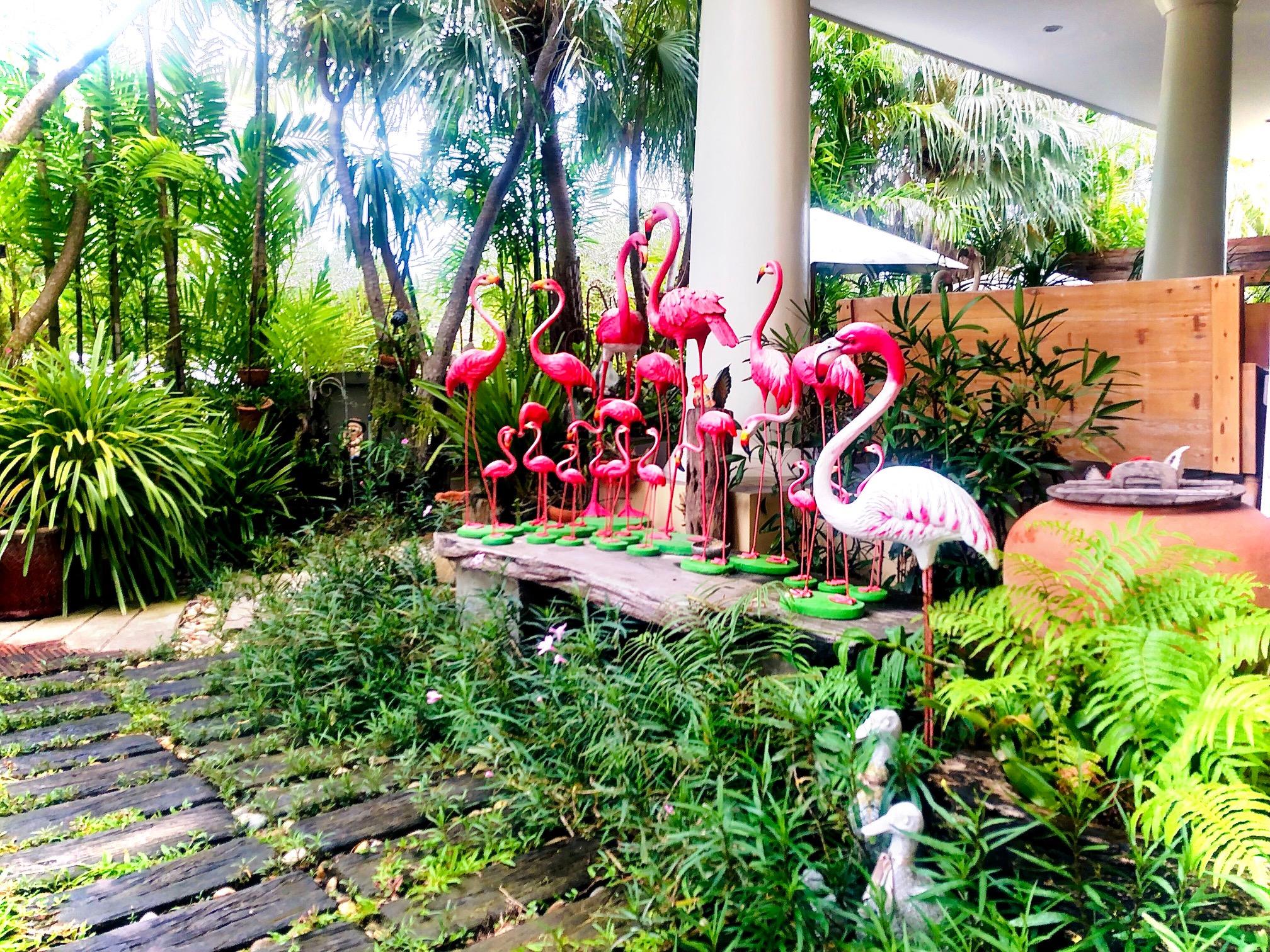 Khu vực xung quanh