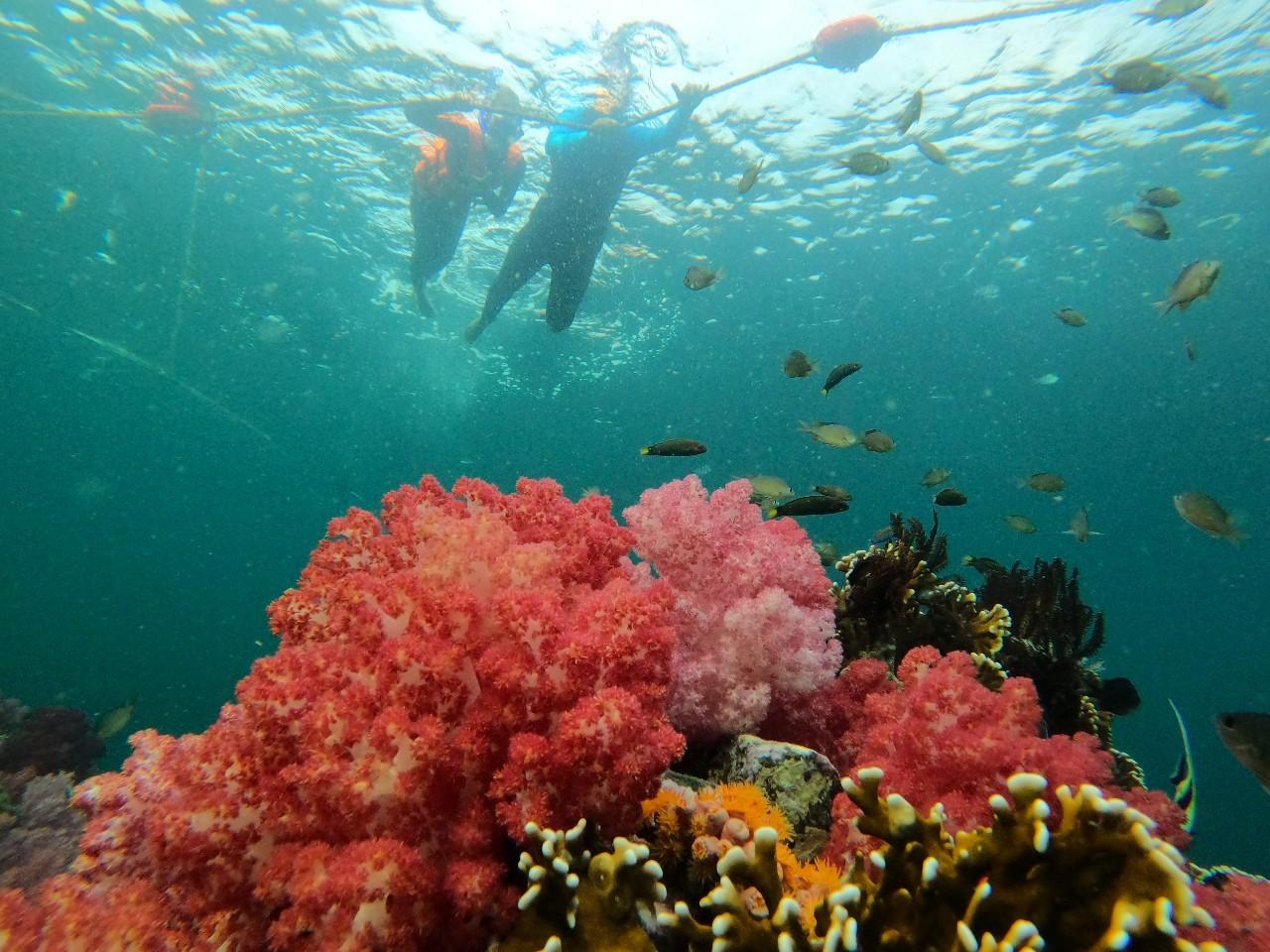 Thể thao và hoạt động