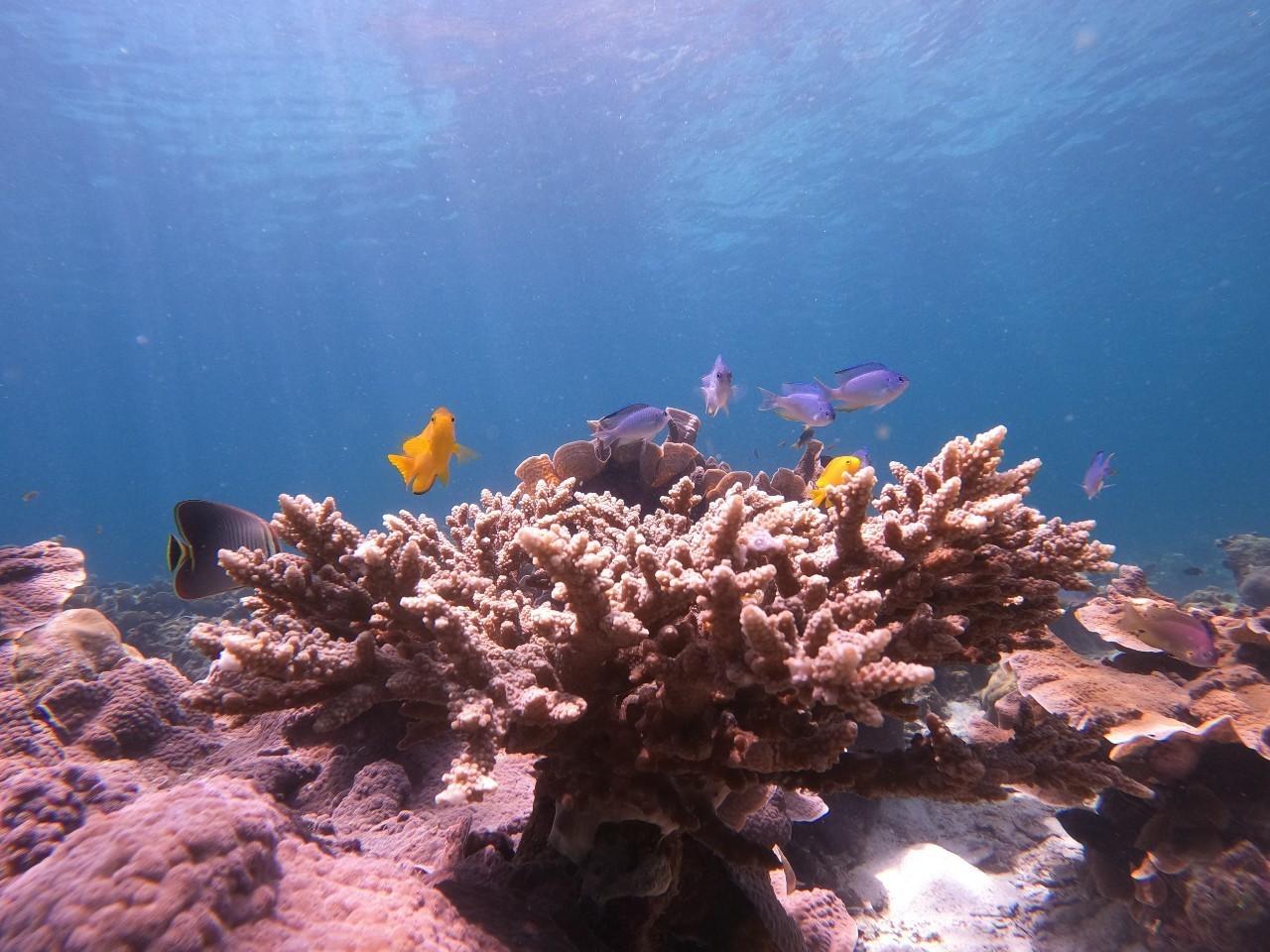 Thể thao và hoạt động