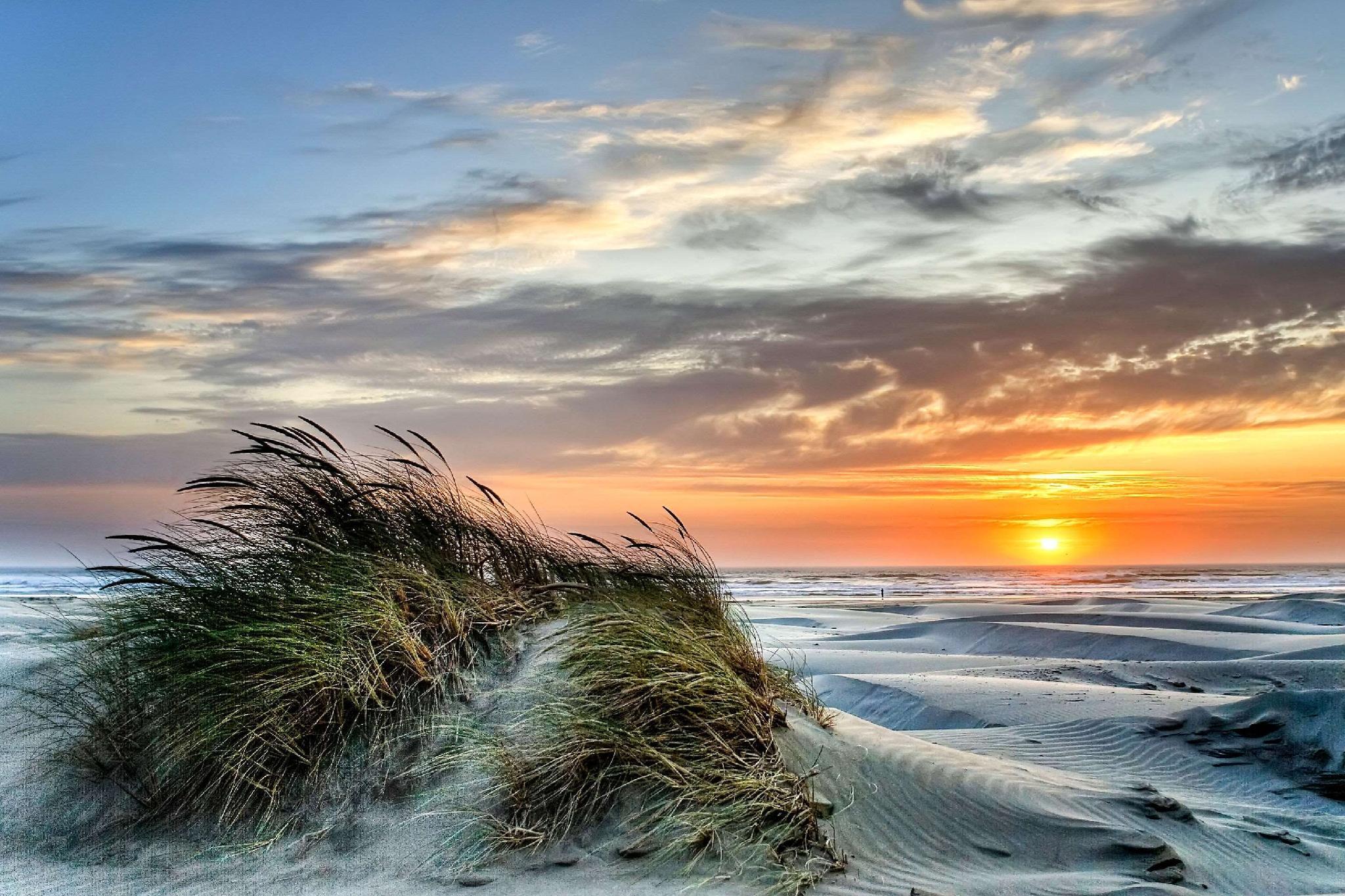 Nơi tham quan gần đây