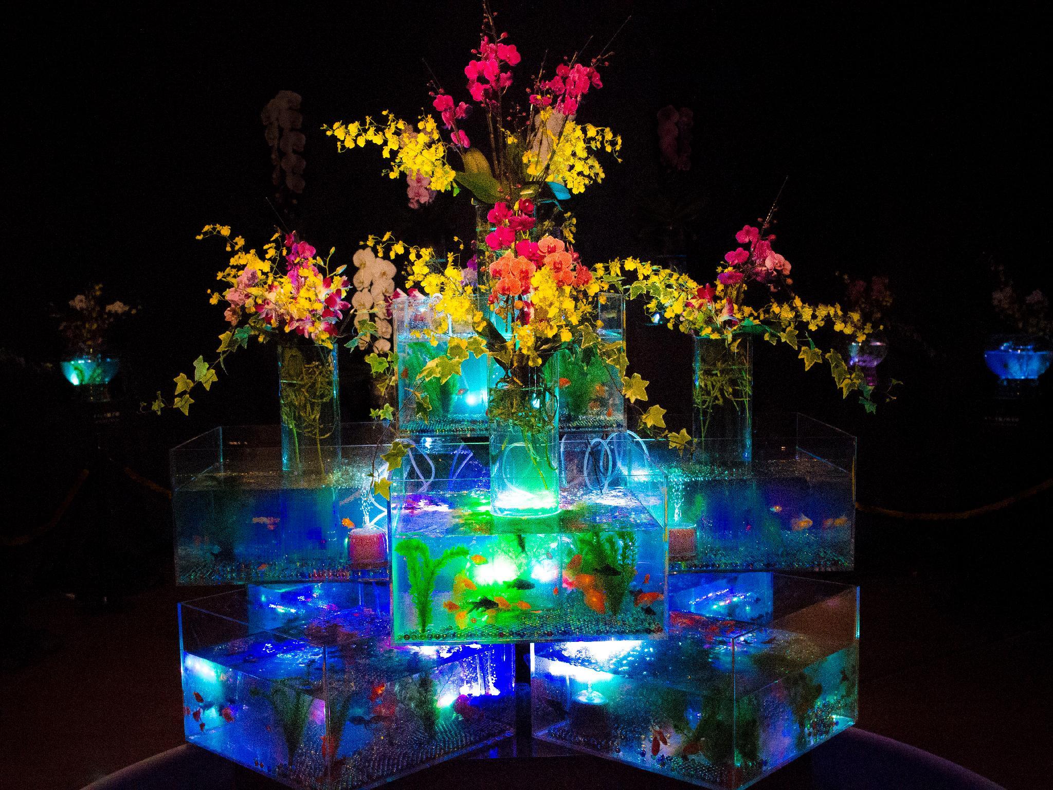 Nơi tham quan gần đây