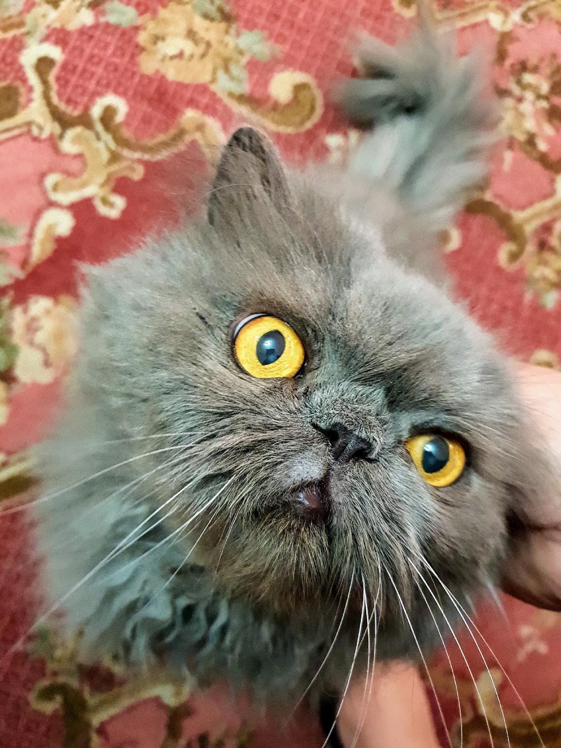 Khu vực xung quanh