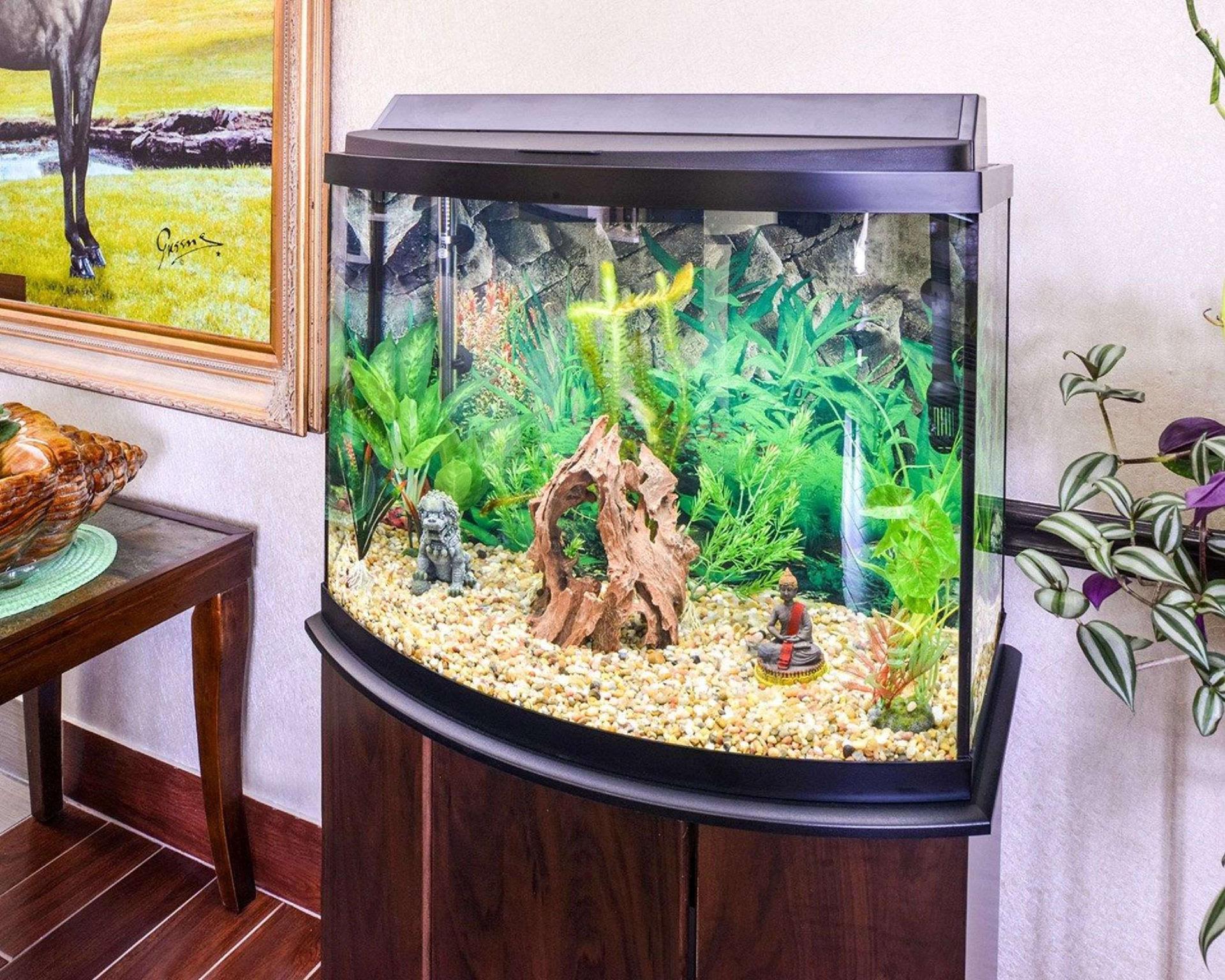 Nội thất khách sạn