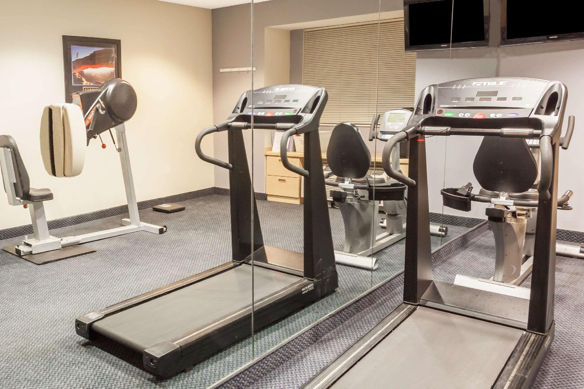 Thể thao và hoạt động