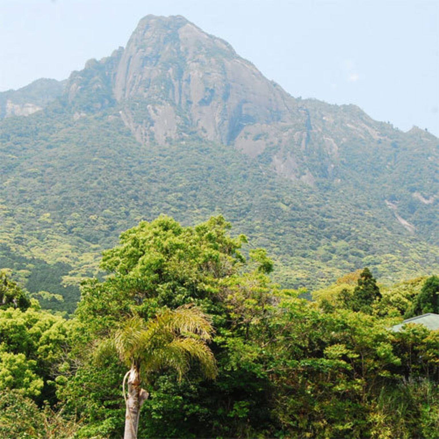 Nơi tham quan gần đây