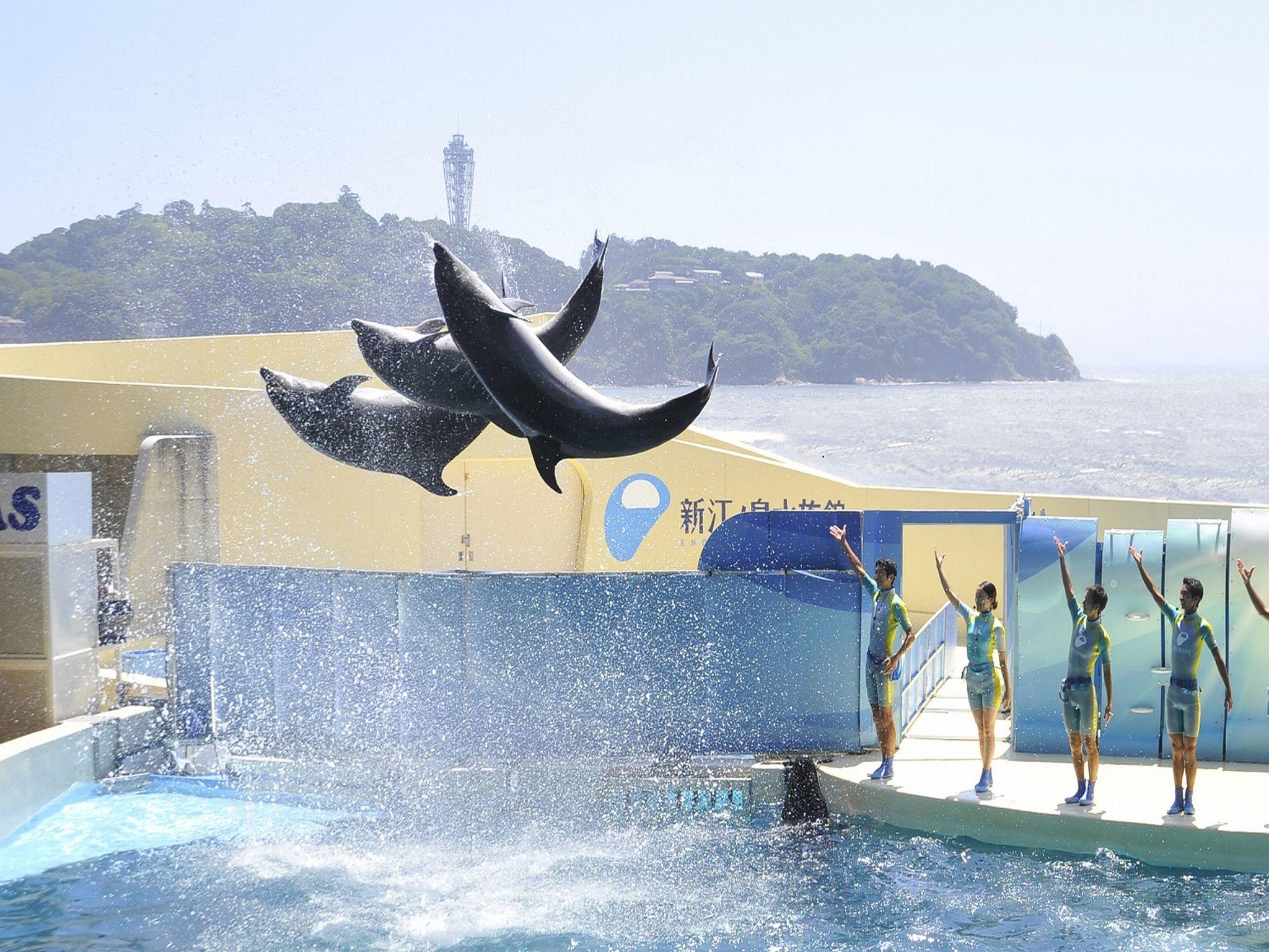 Nơi tham quan gần đây