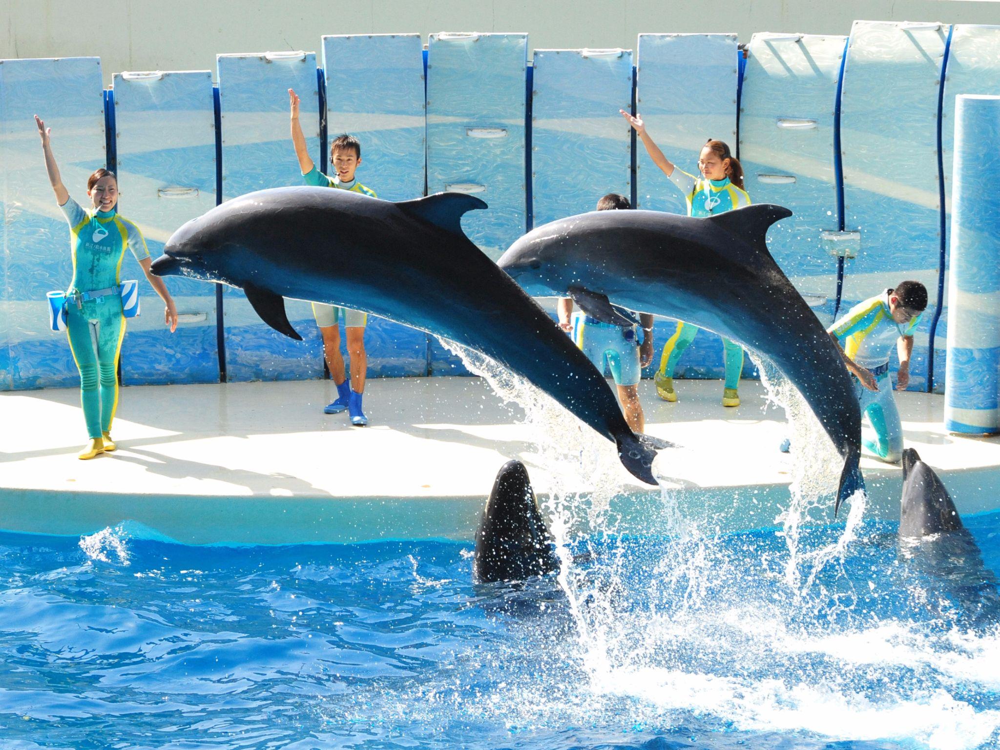 Nơi tham quan gần đây