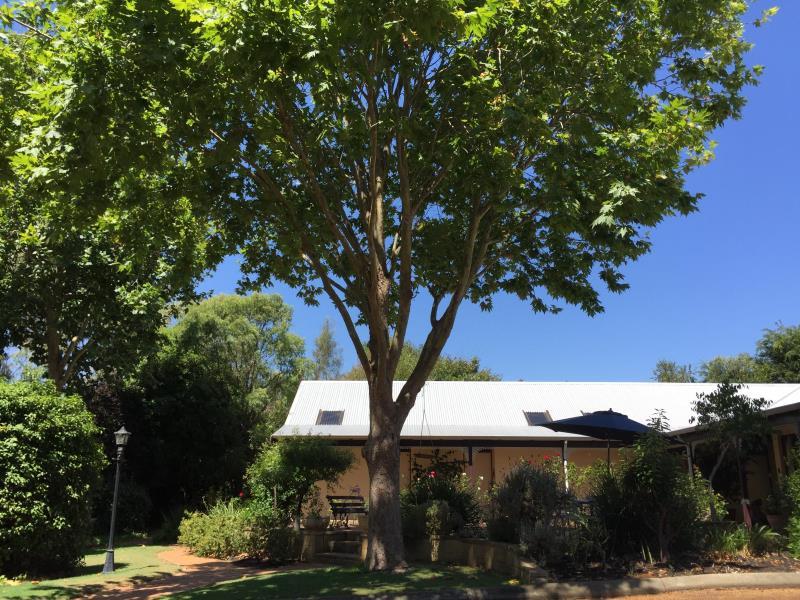 Ngoại cảnh khách sạn