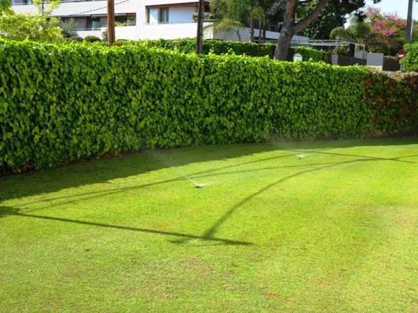 Khu vực xung quanh