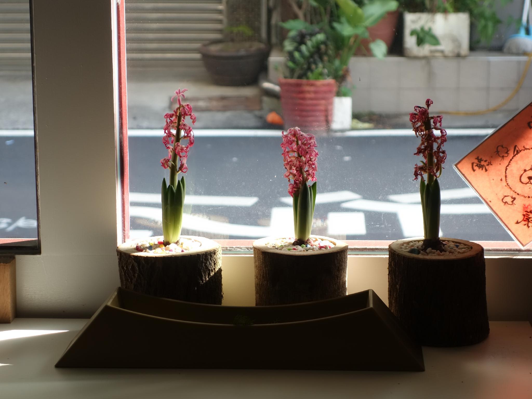 Khu vực công cộng