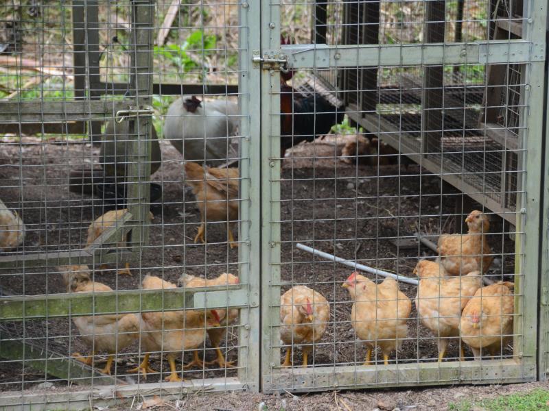 Khu vui chơi trẻ em