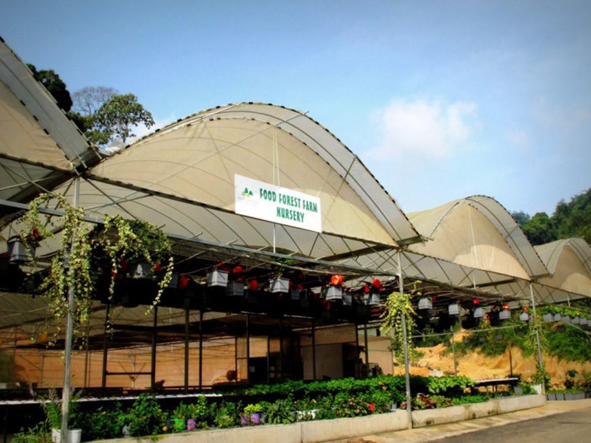 Khu vực xung quanh