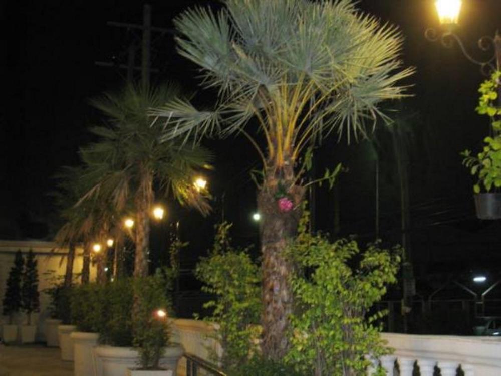 Khu vực xung quanh