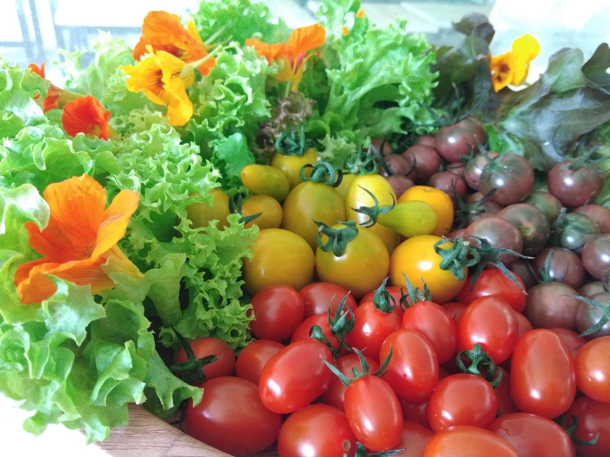 Đồ ăn và thức uống