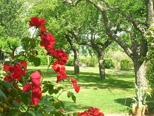 Khu vực xung quanh