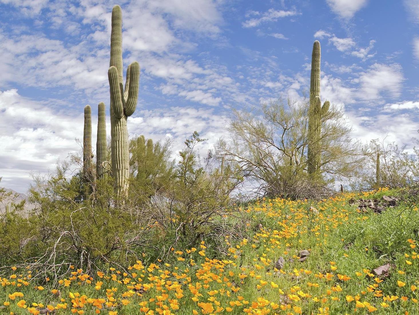 Khu vực xung quanh