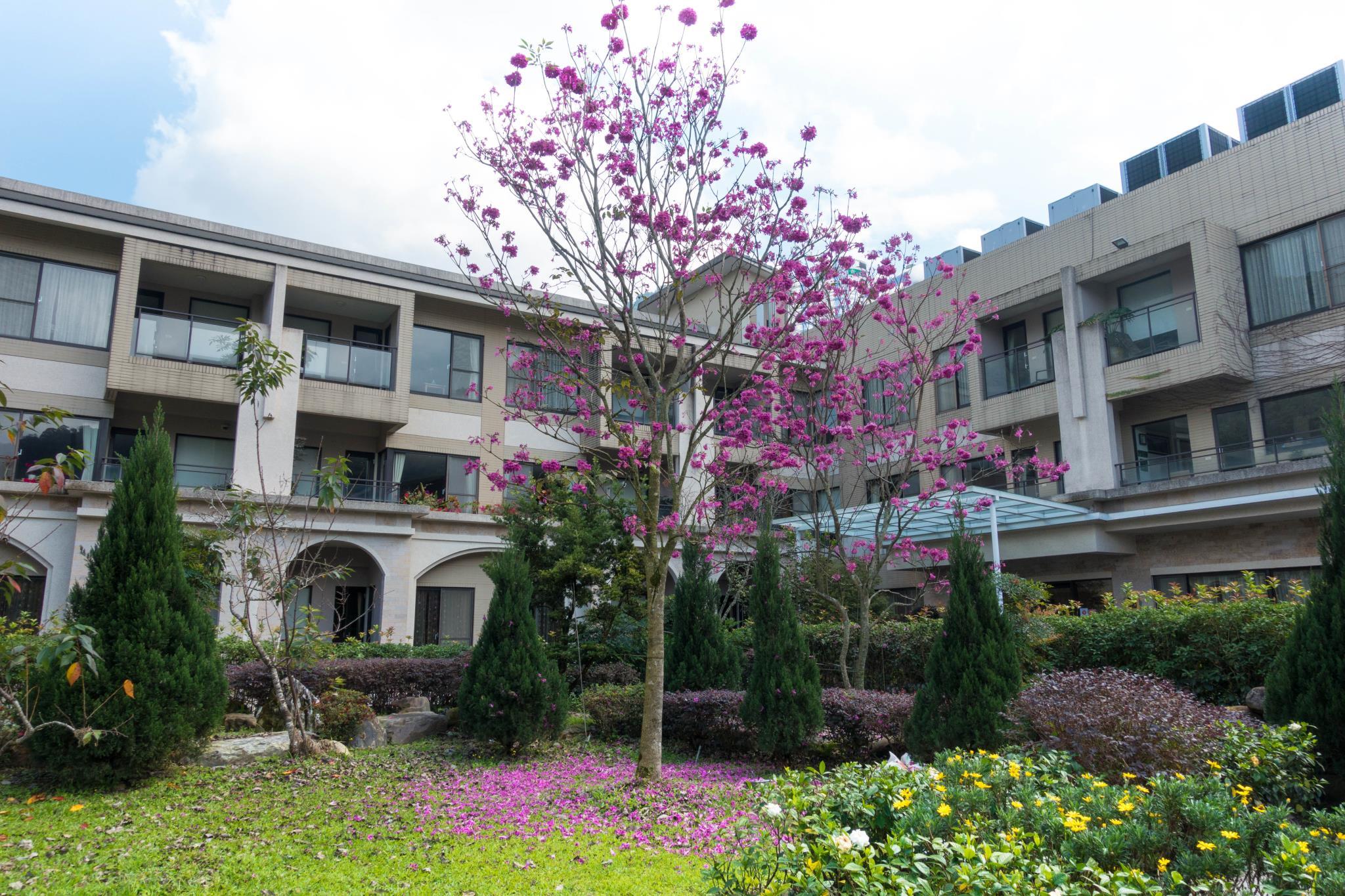 Ngoại cảnh khách sạn