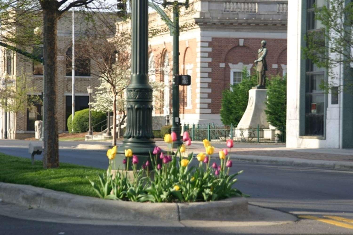 Khu vực xung quanh