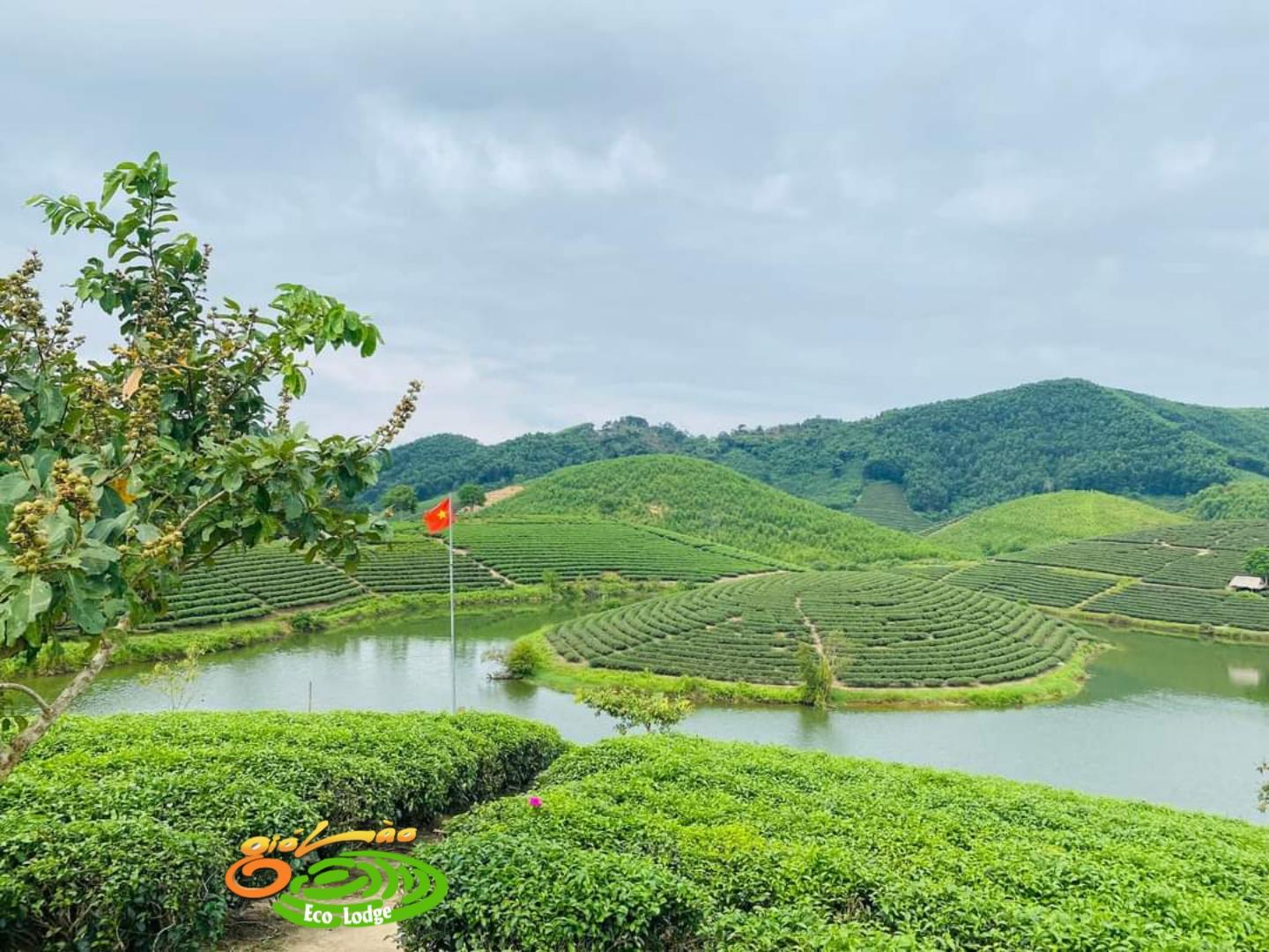 Ngoại cảnh khách sạn