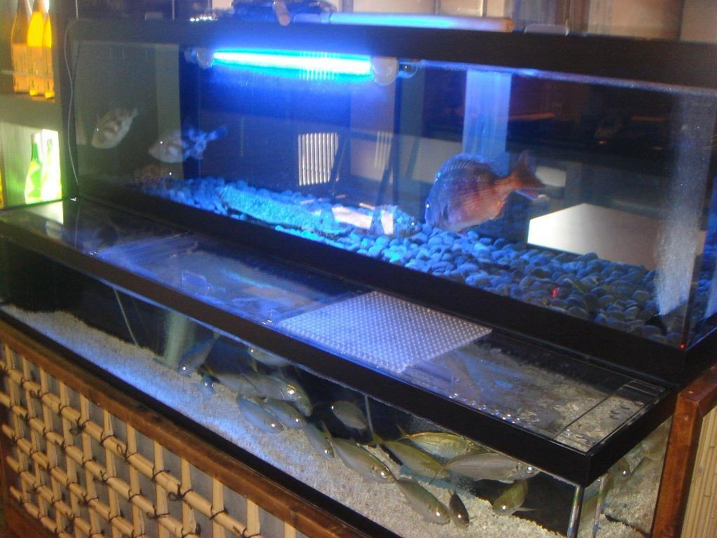 Nội thất khách sạn