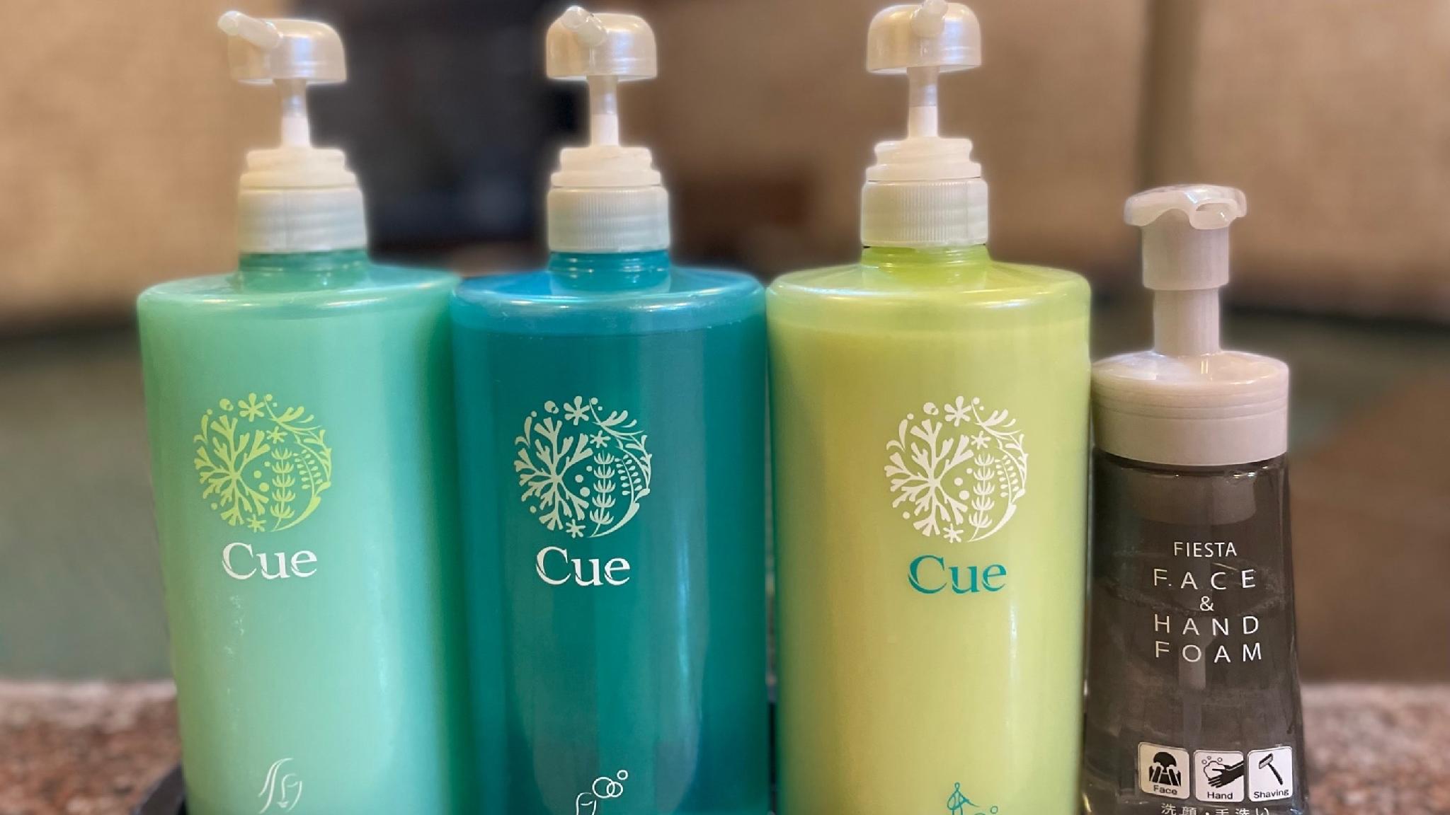 Tiện nghi (Suối nước nóng)