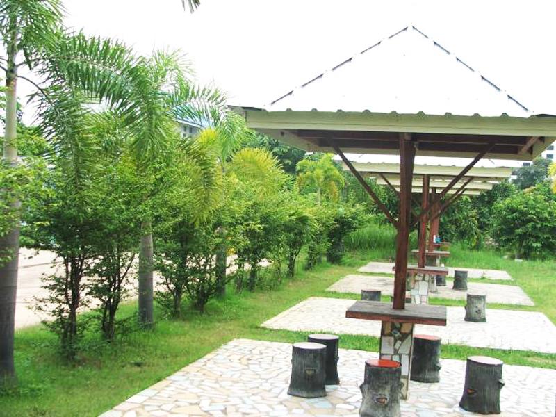 Khu vực xung quanh