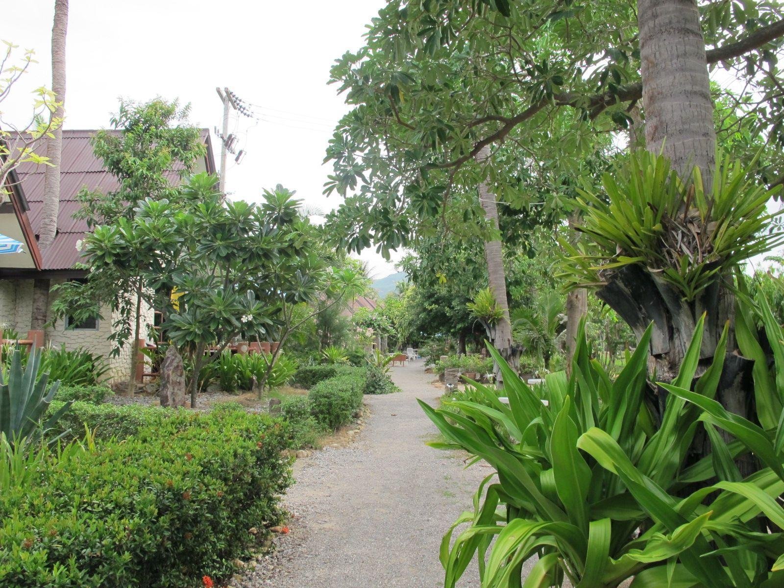 Khu vực xung quanh
