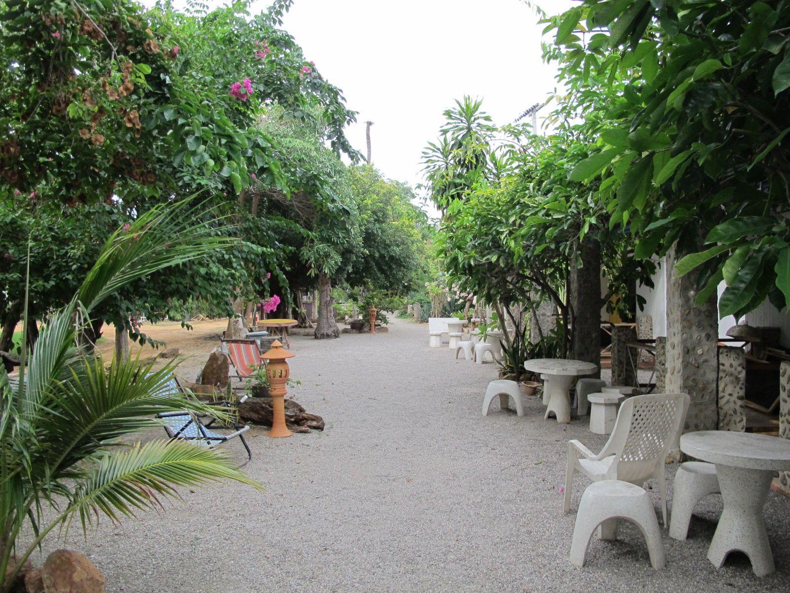 Khu vực xung quanh