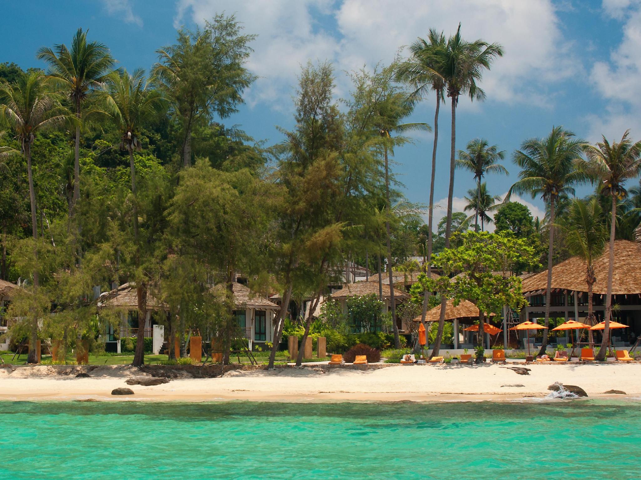 Thể thao và hoạt động