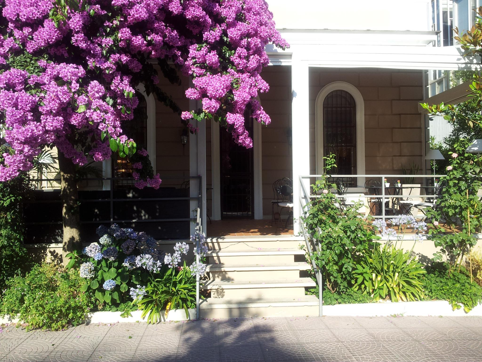 Ngoại cảnh khách sạn