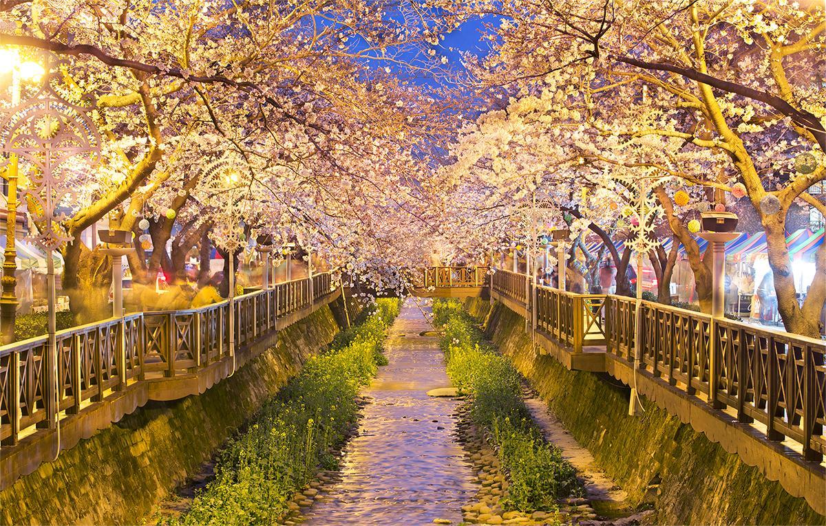 Nơi tham quan gần đây