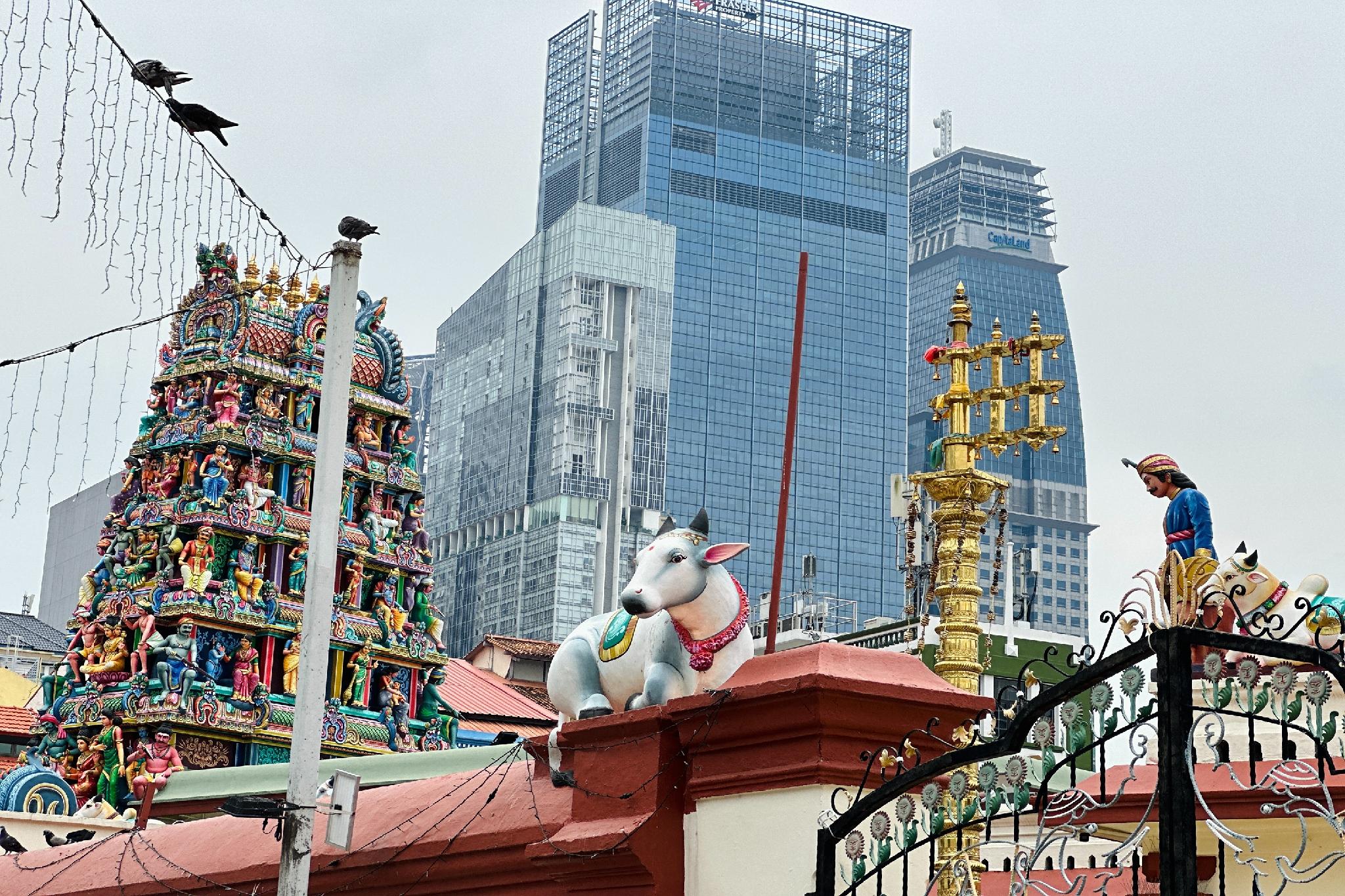 Khu vực xung quanh