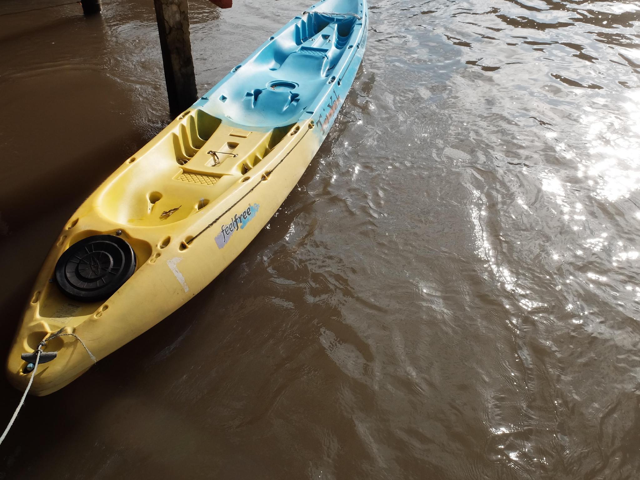 Thể thao và hoạt động